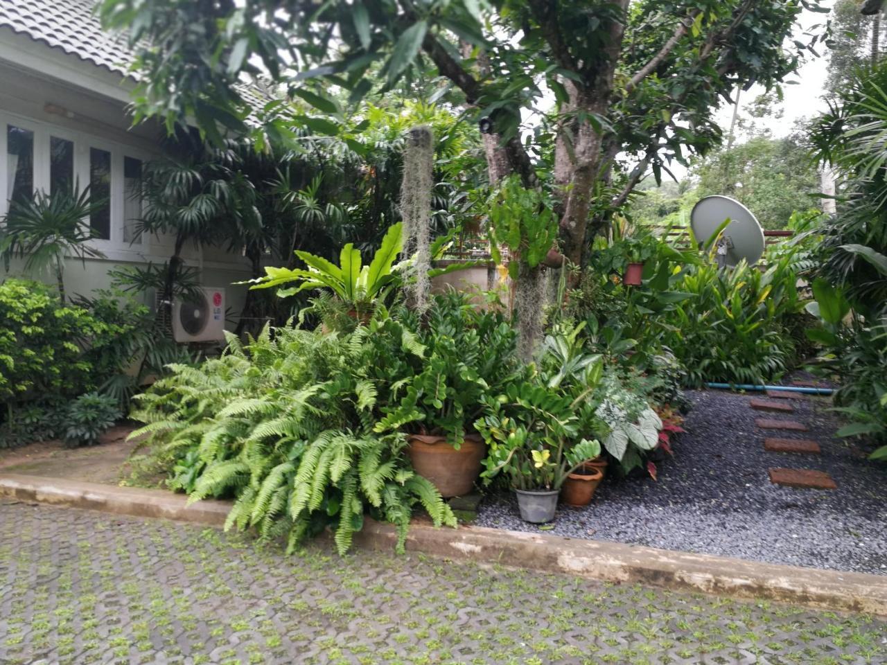 Reuan Phaolai Bophut Exterior foto